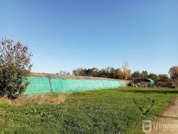 reprise fond de commerce horticole vic en bigorre