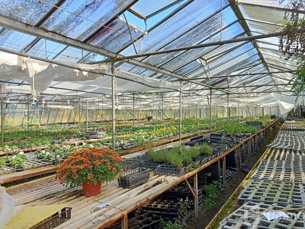 reprise fond de commerce horticole vic en bigorre