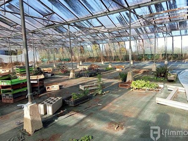 reprise fond de commerce horticole vic en bigorre