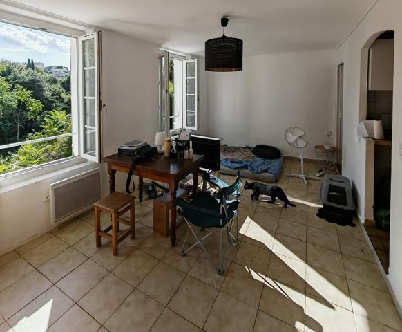 Immeuble de rapport 168m² 1T2 et  5T1