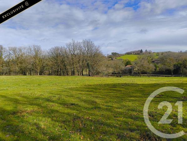 Terrain à vendre  9017 m2 ST PROJET - 46