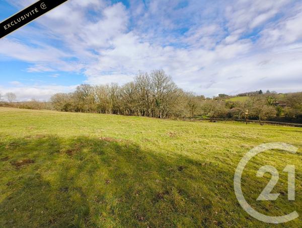 Terrain à vendre  9017 m2 ST PROJET - 46