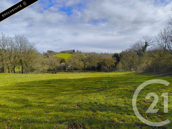 Terrain à vendre  9017 m2 ST PROJET - 46