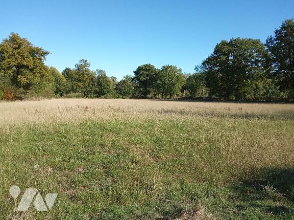 Terres à vendre à SAINT-AUBIN-LE-CLOUD (79450)