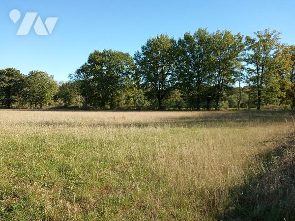 Terres à vendre à SAINT-AUBIN-LE-CLOUD (79450)