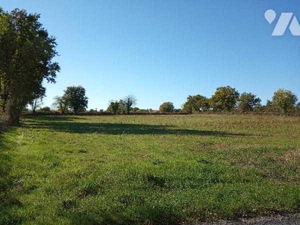 Terres à vendre à SAINT-AUBIN-LE-CLOUD (79450)