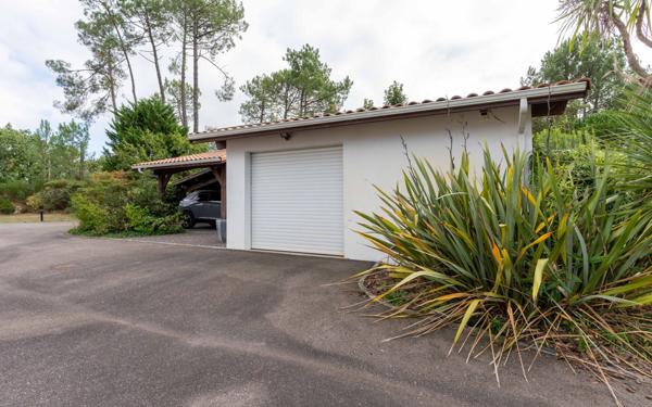 Maison à vendre    6 pièces •  Biscarrosse