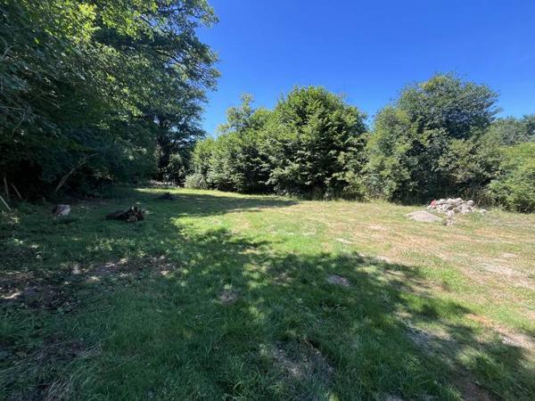 Maison à vendre |  La Celle-Dunoise |  6 pièces | 157 m²