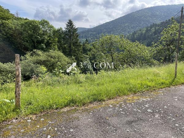 Maison 25 pièce(s) 19 chambre(s) 630 m²