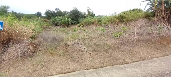 À vendre : Terrain  La Chaloupe Saint-Leu – Vue panoramique sur la côte de Saint-Leu