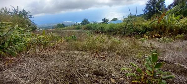 À vendre : Terrain  La Chaloupe Saint-Leu – Vue panoramique sur la côte de Saint-Leu