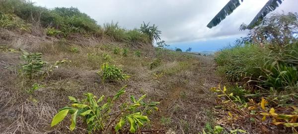 À vendre : Terrain  La Chaloupe Saint-Leu – Vue panoramique sur la côte de Saint-Leu