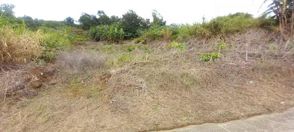 À vendre : Terrain  La Chaloupe Saint-Leu – Vue panoramique sur la côte de Saint-Leu