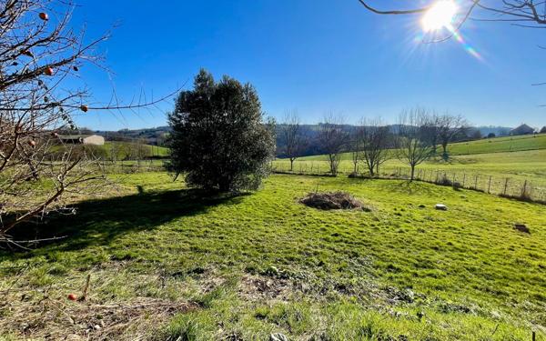 Maison à vendre    7 pièces •  Sainte-Féréole