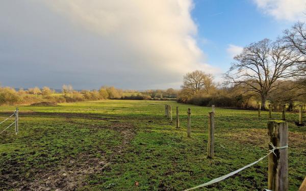 Maison à vendre    8 pièces •  Villebadin