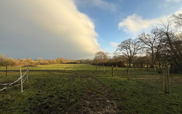 Maison à vendre    8 pièces •  Villebadin