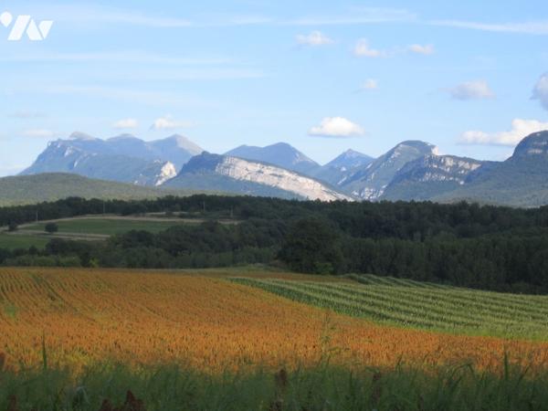 Superbe demeure de charme en pierre avec piscine le tout dans un écrin de verdure