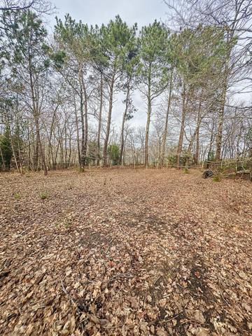 Lacanau, terrain à vendre de 1835m²