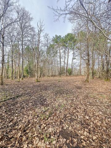 Lacanau, terrain à vendre de 1835m²