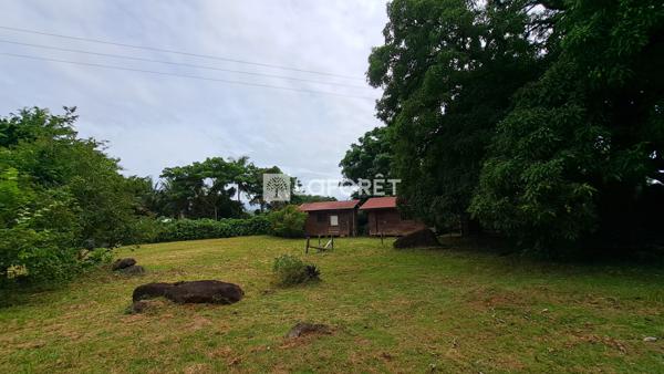 Achat maison Remire-Montjoly - 5 pièce(s) - 190 m² - 936 000 €