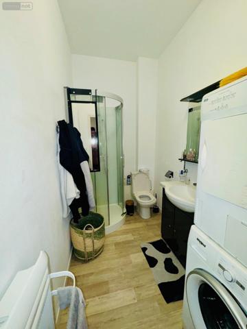 Appartement à louer à Saint-Omer dans le Pas-de-Calais (62500), ref : 6049