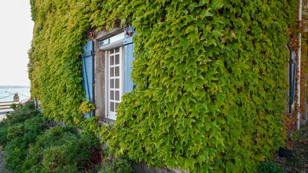 Maison à vendre à Saint-Malo (35400) - Ille-et-Vilaine