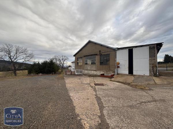 Local professionnel à vendre