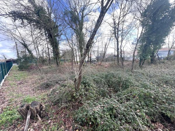 Vente Terrain 1217 m2 à Arsac