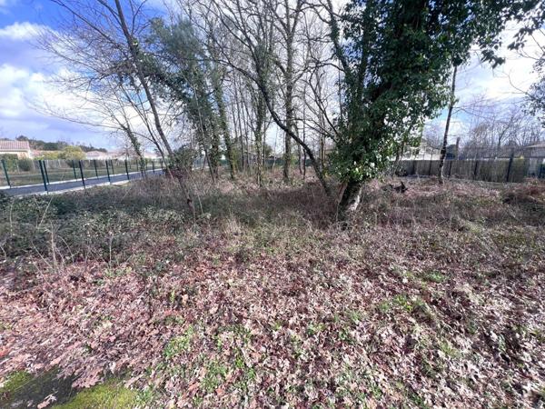 Vente Terrain 1217 m2 à Arsac