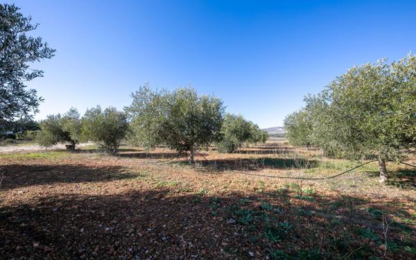 Maison à vendre    4 pièces •  Espira-de-l'Agly