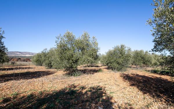 Maison à vendre    4 pièces •  Espira-de-l'Agly