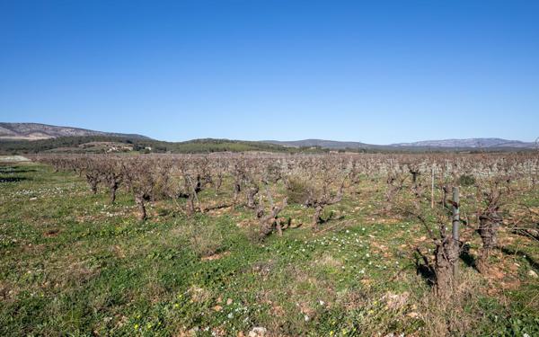 Maison à vendre    4 pièces •  Espira-de-l'Agly