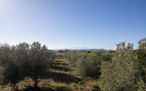 Maison à vendre    4 pièces •  Espira-de-l'Agly