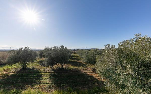 Maison à vendre    4 pièces •  Espira-de-l'Agly