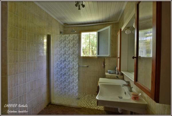 Maison avec grand terrain
