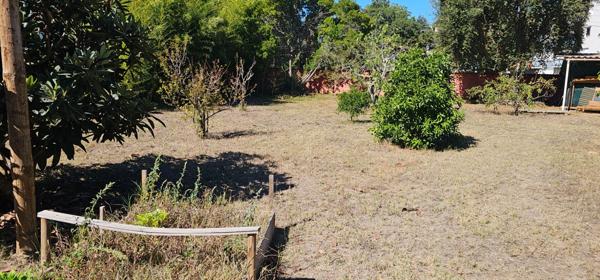 PRUNELLI DI FIUMORBO (20) Maison à vendre 3 chambres de 87m² sur 1300m² de terrain