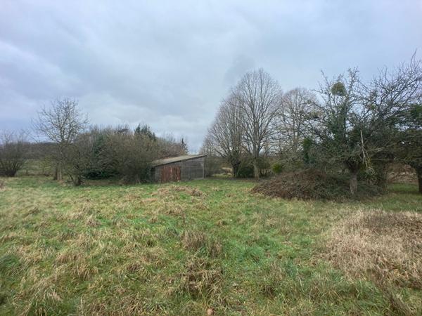 Terrain NANCRAY SUR RIMARDE 2010 m2