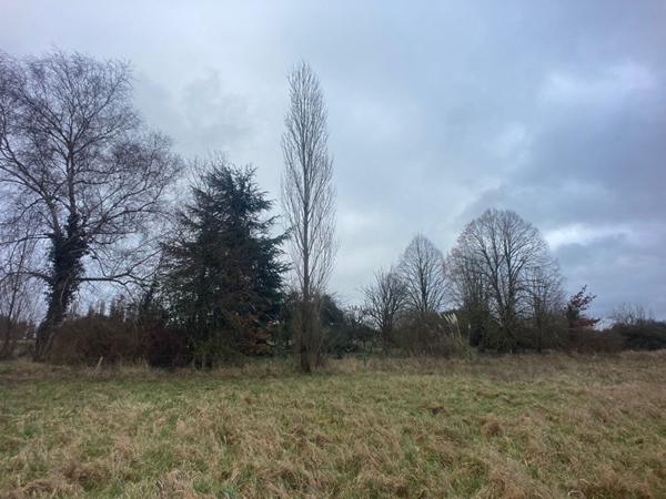 Terrain NANCRAY SUR RIMARDE 2010 m2