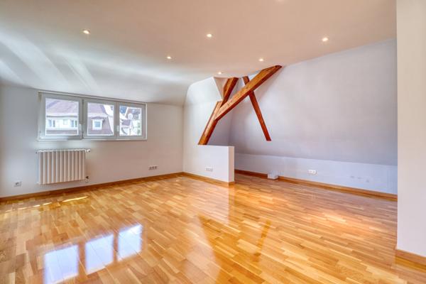 Duplex/triplex - Strasbourg Orangerie