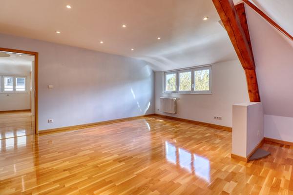 Duplex/triplex - Strasbourg Orangerie
