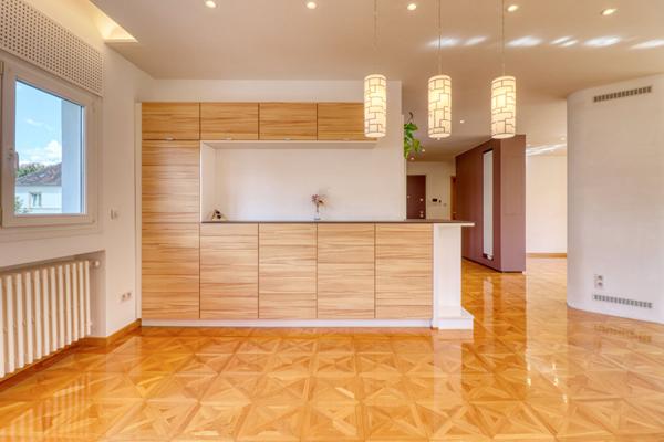 Duplex/triplex - Strasbourg Orangerie