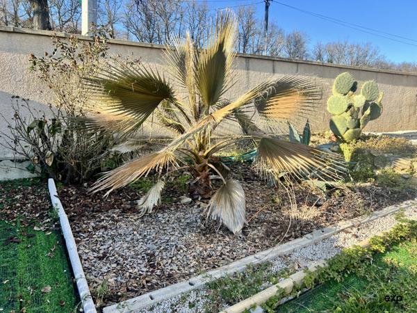 Maison avec vie de plain-pied