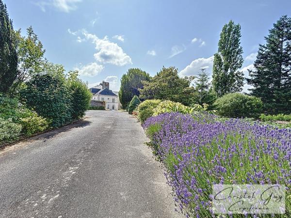 MONTVAL SUR LOIR (72) Maison de Maître 7 chambres sur 2800 m² de terrain