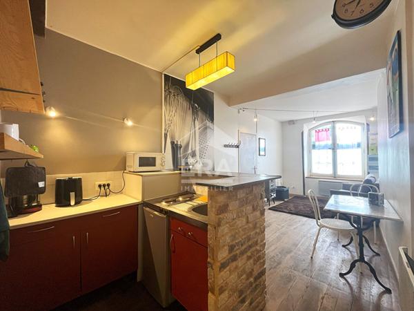 APPART. T2 MEUBLE A LOUER - BLOIS - HYPERCENTRE-VILLE - PROCHE LYCEES ET ECOLES SUPERIEURES