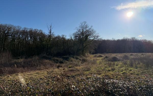 Terrain à vendre    Saint-Sever