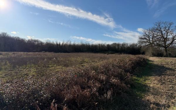 Terrain à vendre    Saint-Sever