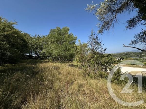 Terrain à vendre  2250 m 2   MOUGINS  - 06
