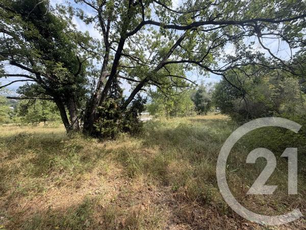 Terrain à vendre  2250 m 2   MOUGINS  - 06