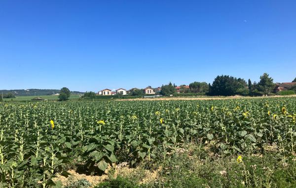 Terrain à Batir de 415 m²