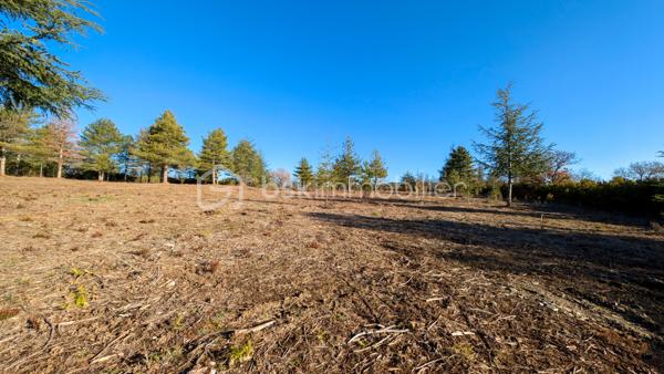 Terrain de 8 009 m²